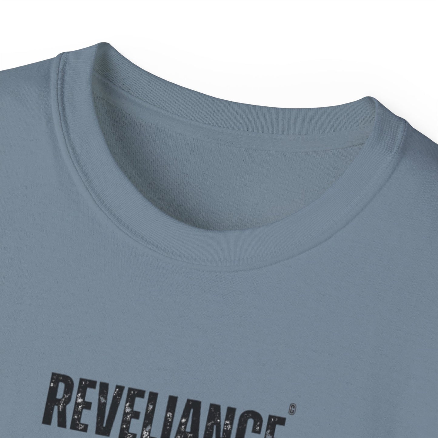 DEFY™--Unisex Heavyweight tee