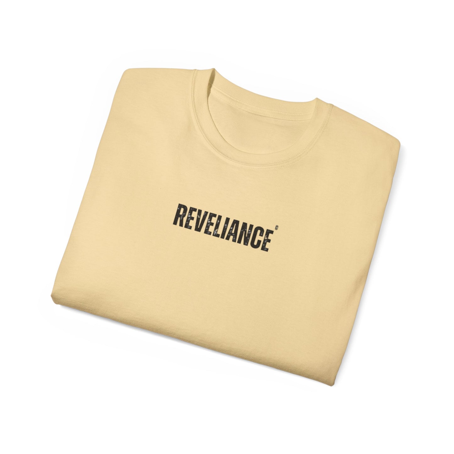 DEFY™--Unisex Heavyweight tee