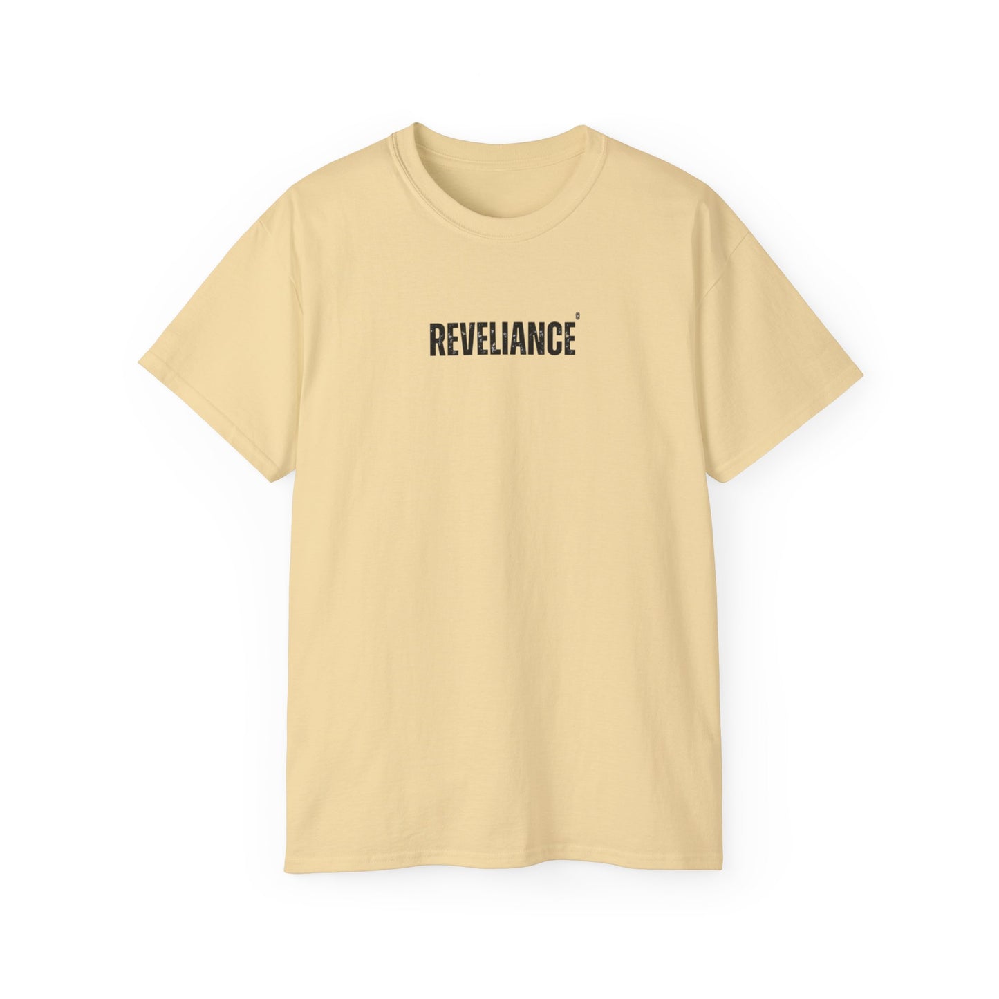 DEFY™--Unisex Heavyweight tee