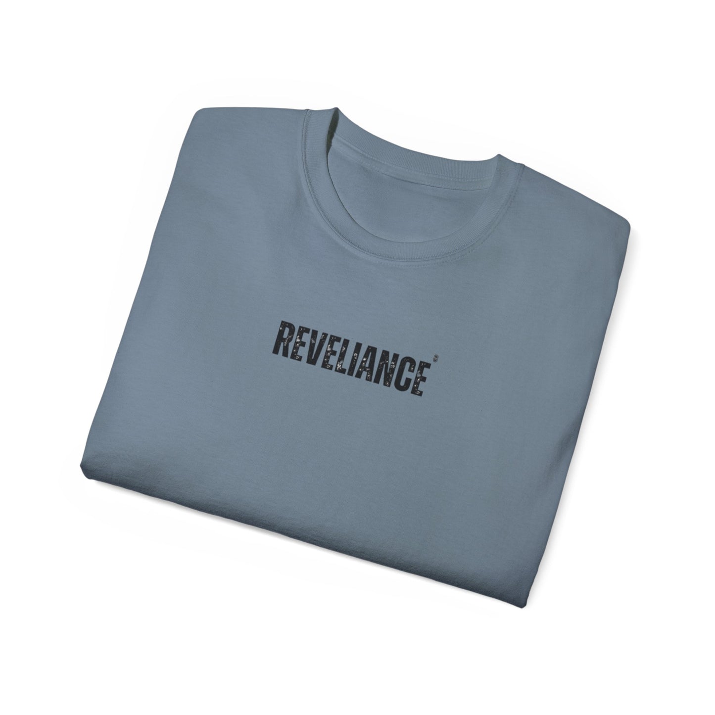 DEFY™--Unisex Heavyweight tee