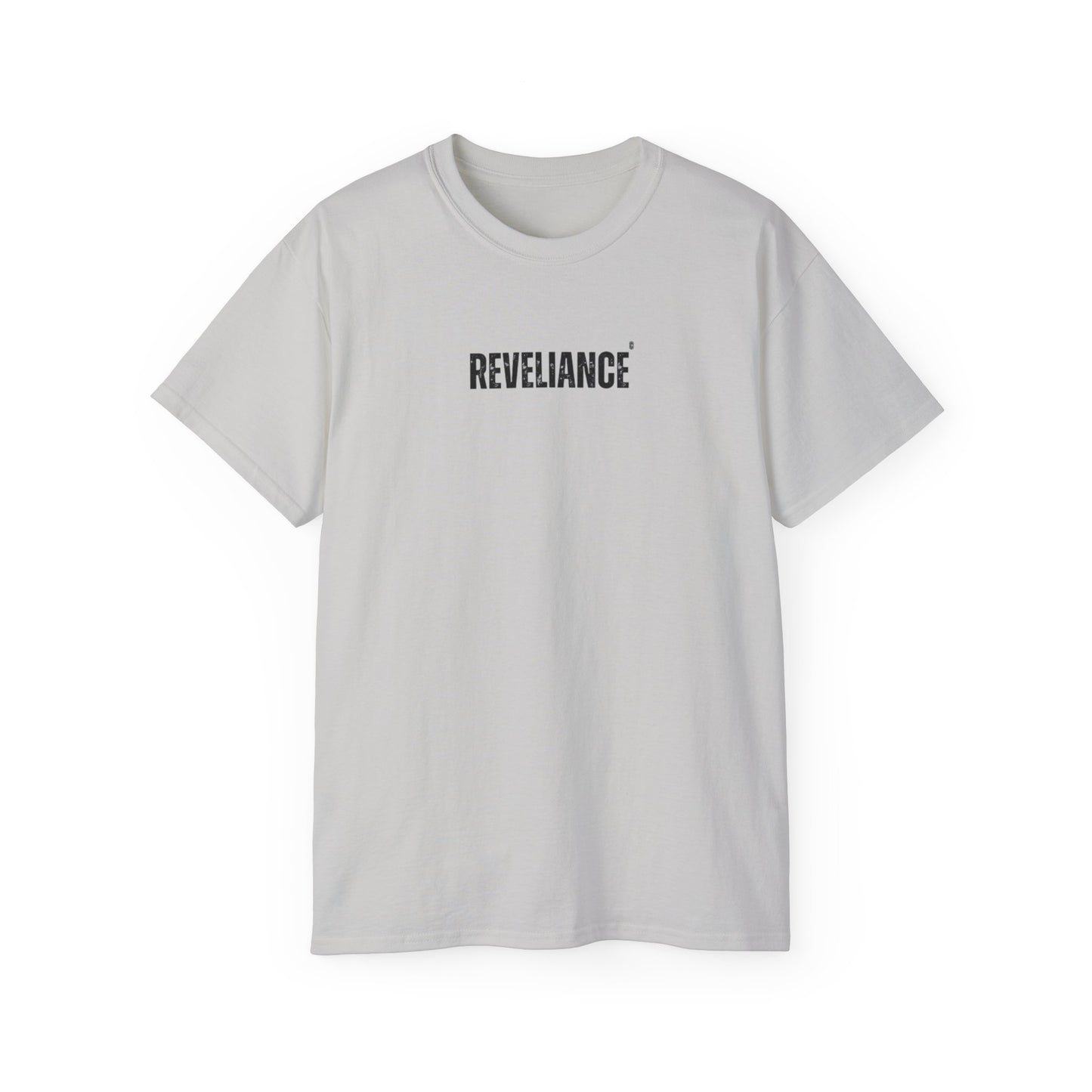 DEFY™--Unisex Heavyweight tee