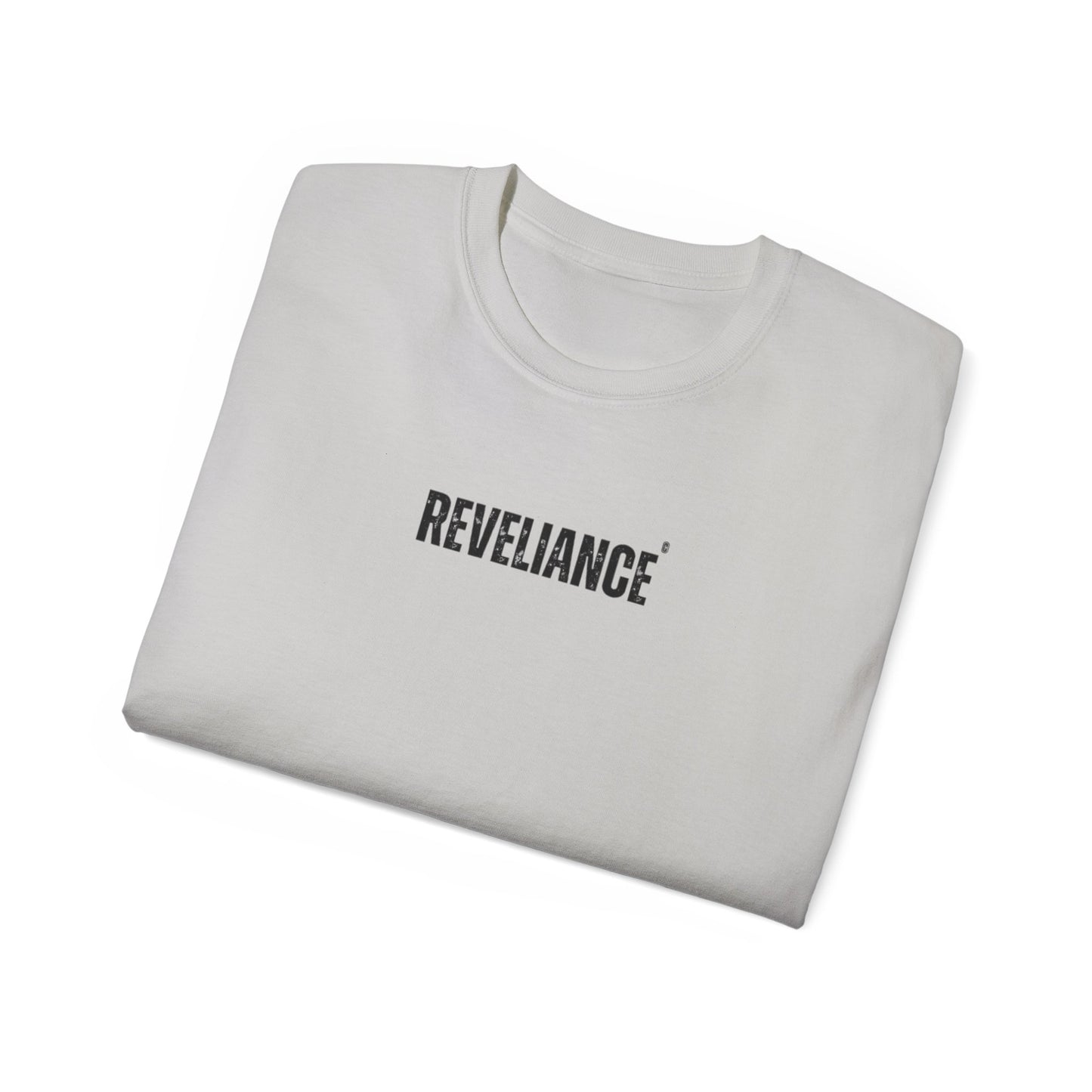 DEFY™--Unisex Heavyweight tee