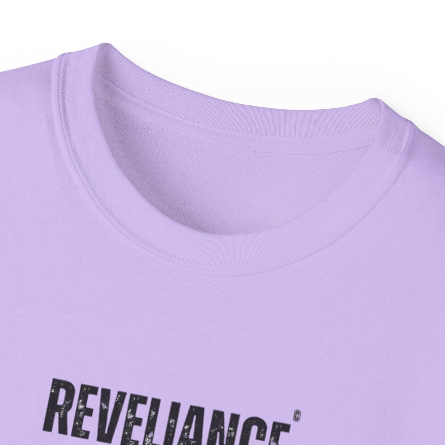 DEFY™--Unisex Heavyweight tee