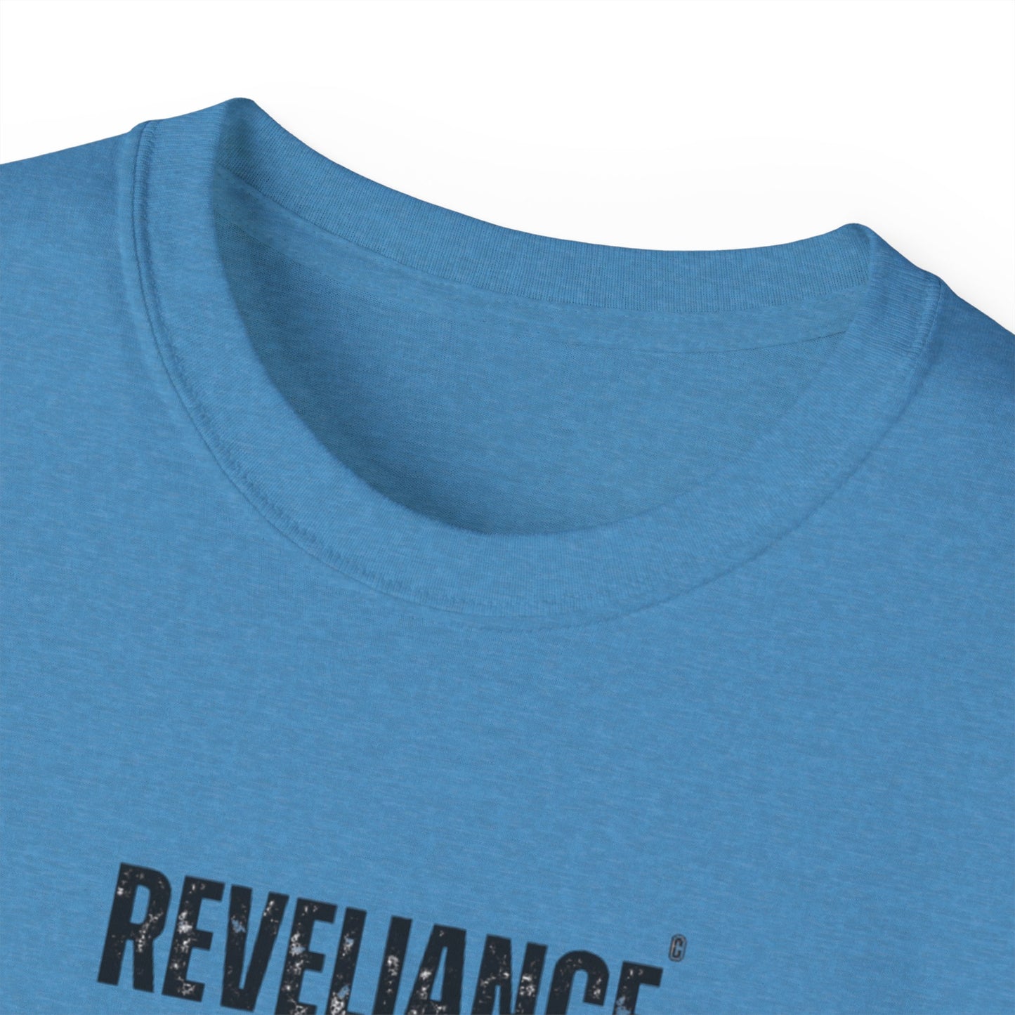 DEFY™--Unisex Heavyweight tee