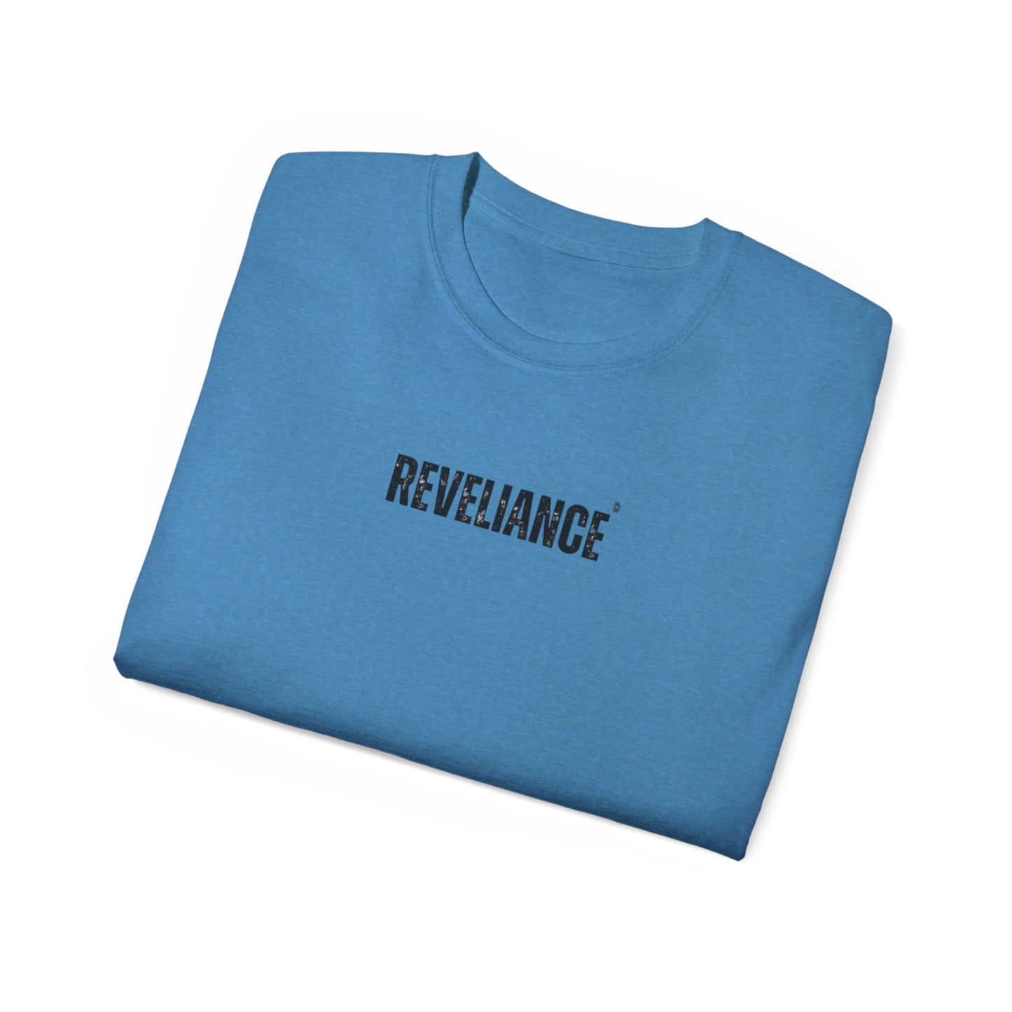 DEFY™--Unisex Heavyweight tee