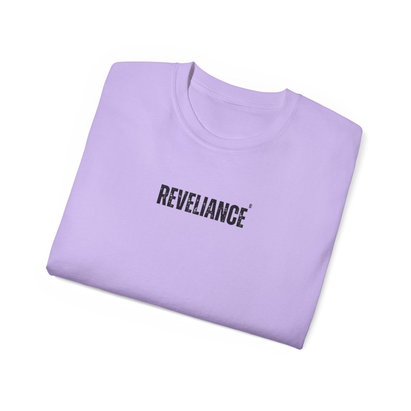 DEFY™--Unisex Heavyweight tee