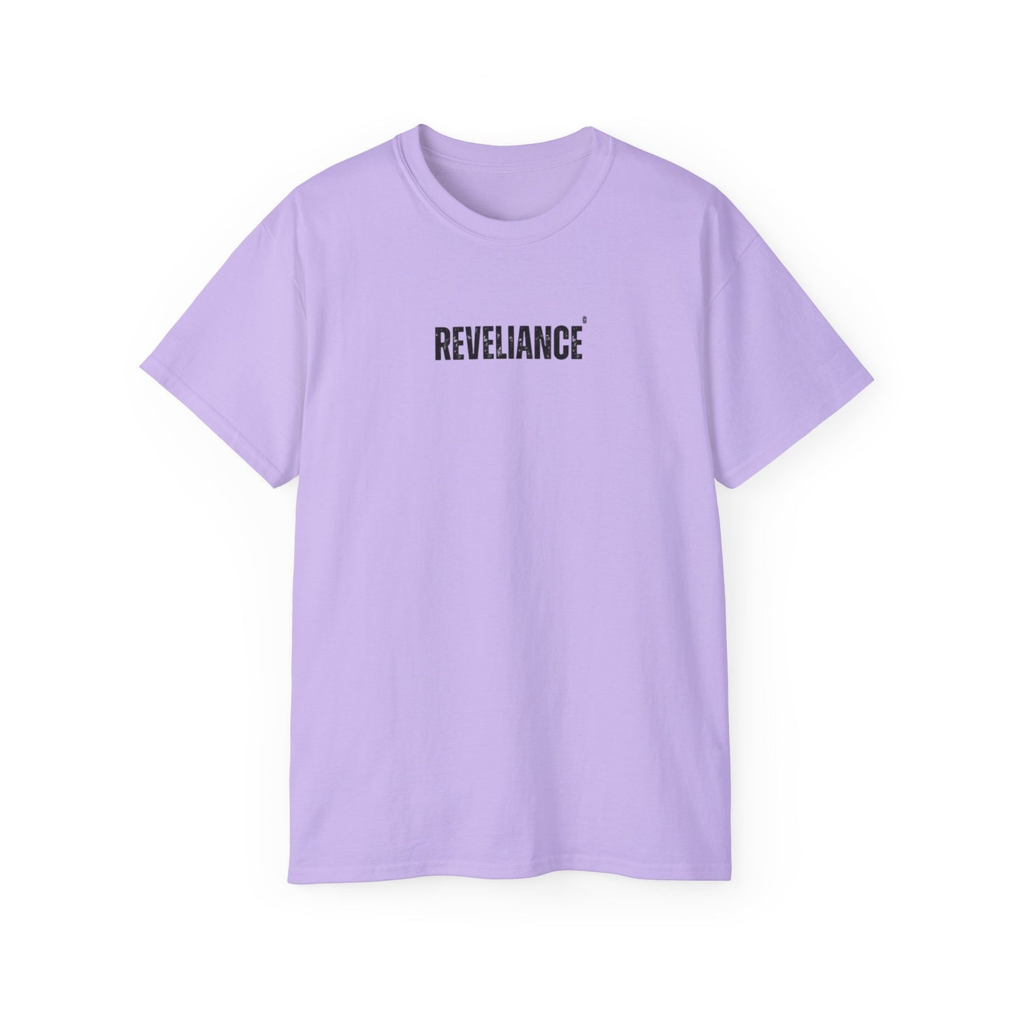 DEFY™--Unisex Heavyweight tee