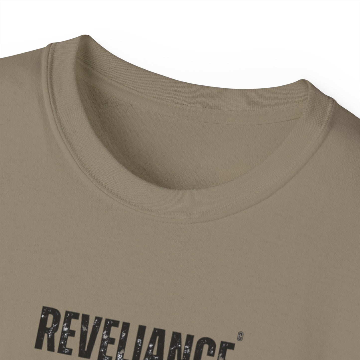 DEFY™--Unisex Heavyweight tee