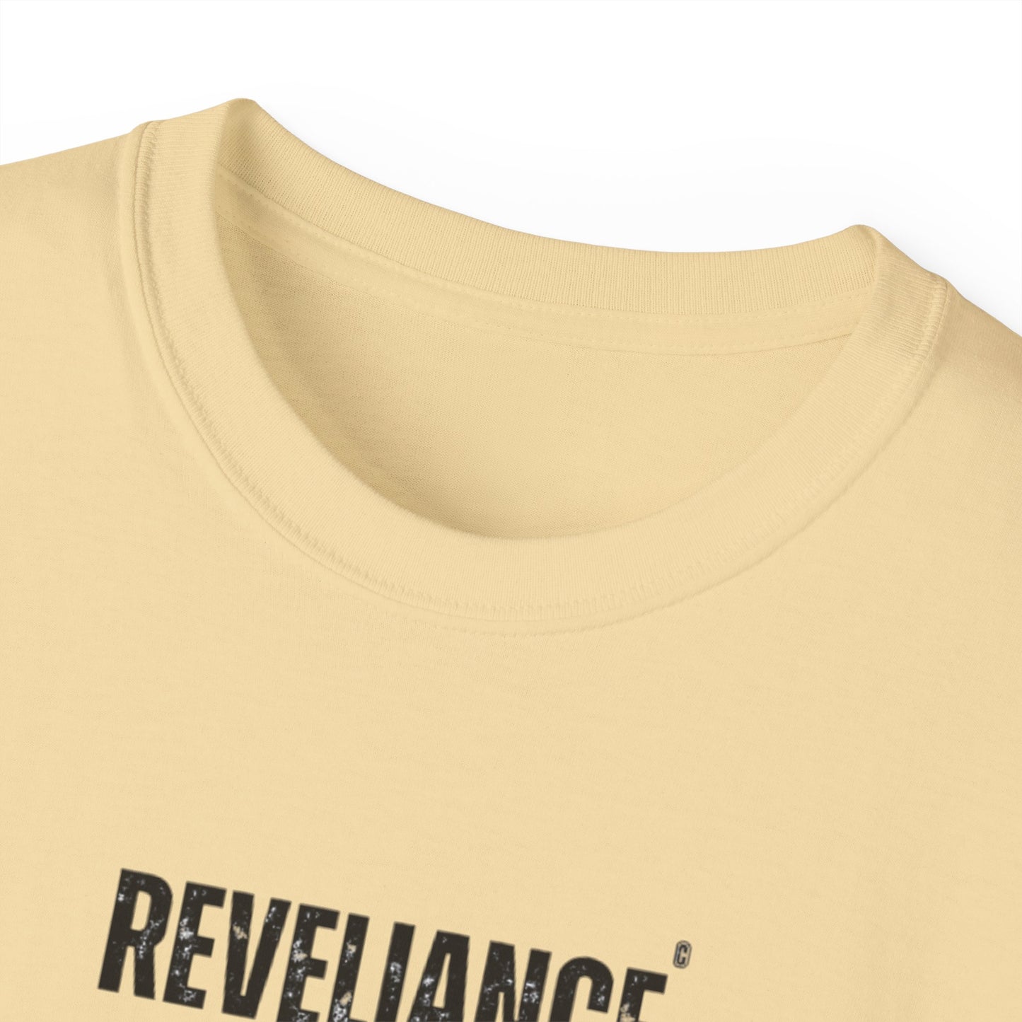 DEFY™--Unisex Heavyweight tee