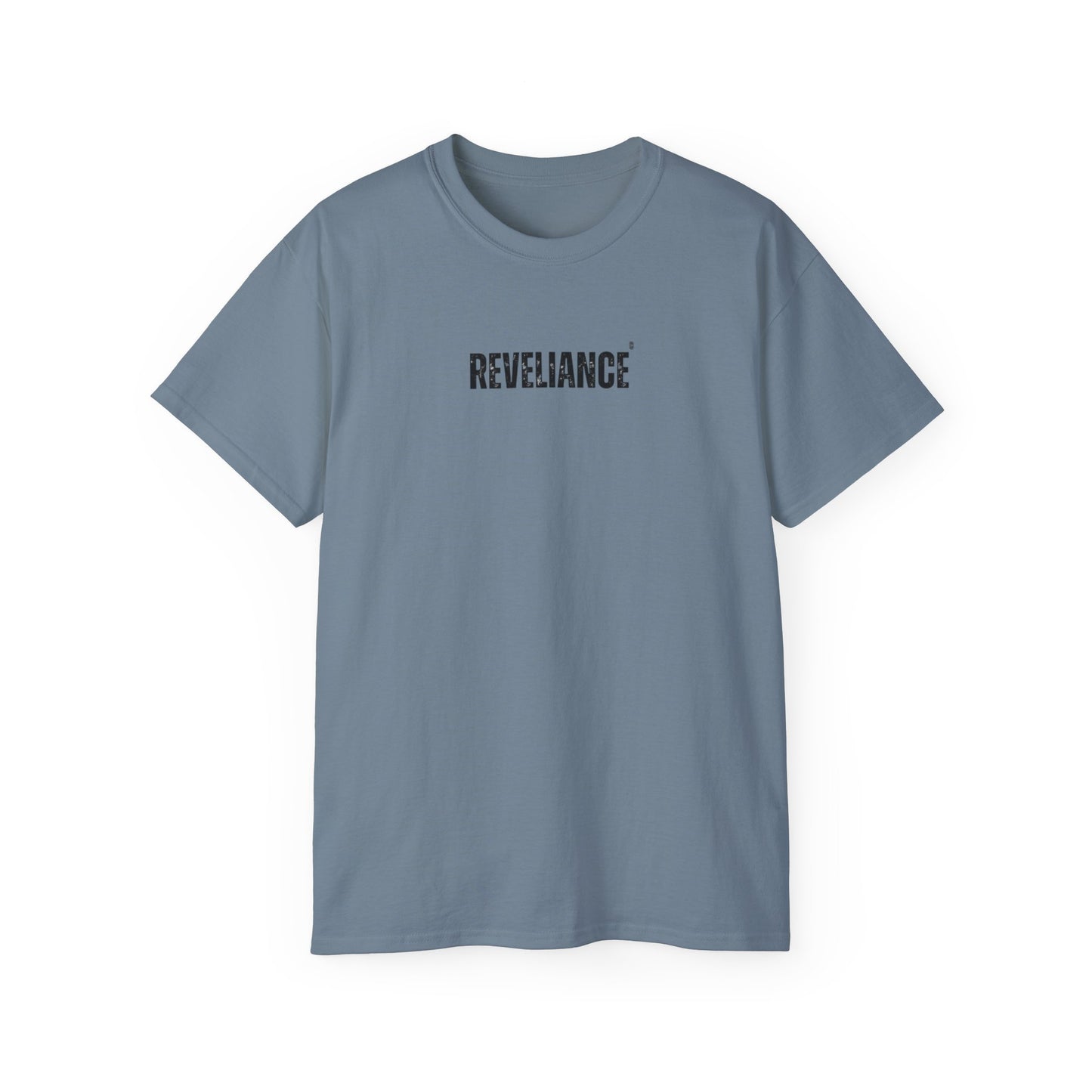 DEFY™--Unisex Heavyweight tee